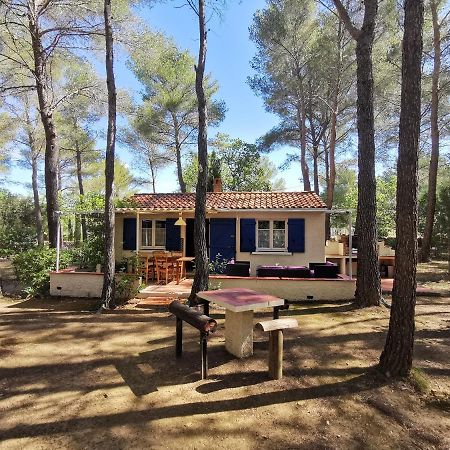 Maisonnette En Pleine Nature Le Beausset Exterior photo